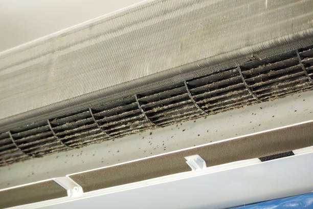 Best Affordable HVAC Duct Cleaning  in Ingram, TX